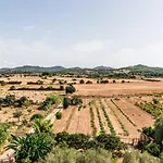 Finca Rural Son Amer
