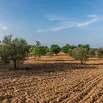 Finca Rural Son Amer