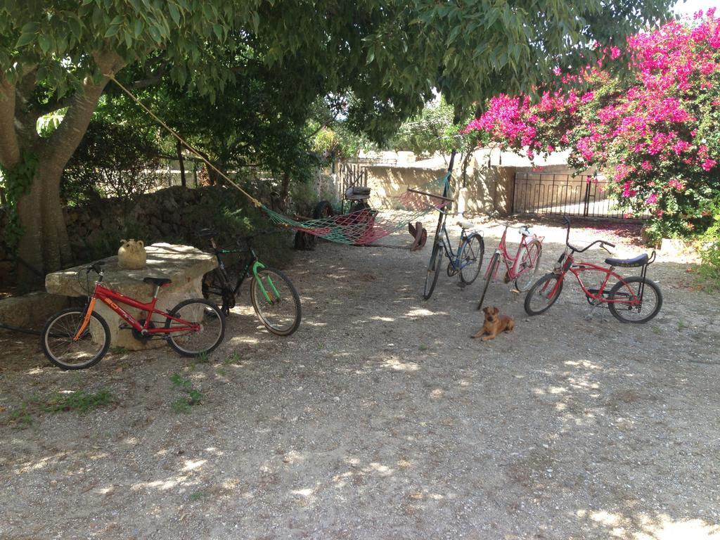 Apartamento Rural Son Amer *